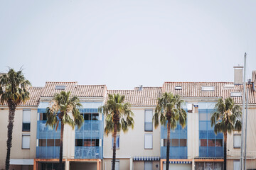Immeubles modernes en bord de mer avec des palmiers - Argeles-sur-Mer, France