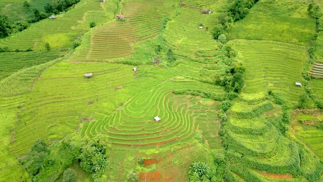4K Cinematic nature aerial drone footage of the beautiful mountains and rice terraces of Ban Pa Pong Piang at Doi Ithanon next to Chiang Mai, Thailand on a cloudy sunny day