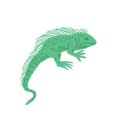 Green guana, hand drawn lizard character, side view isolated, childish flat pet reptile animal, exotic crawling mammal