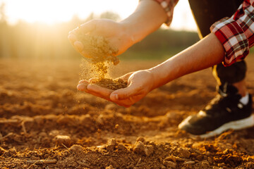 Farmer's hands check the quality and health of the soil before sowing. Concept of gardening, ecology.