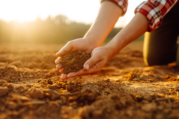 Farmer's hands check the quality and health of the soil before sowing. Concept of gardening,...