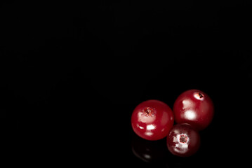 Cranberries on a black background. Closeup