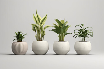 lants in ceramic pots isolated on white background