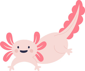 Axolotl Funny Amphibian