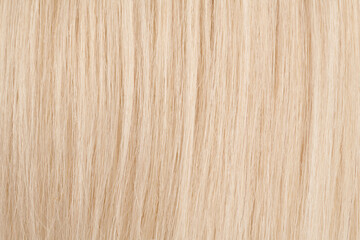 Naklejka premium Close-up view of natural shiny hair, bunch of fair blonde curls background