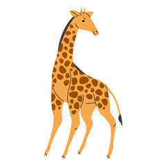 Obraz premium Wild savannah animal. Cute giraffe standing, looking back. African savanna habitant, safari zoo. Tall spotted camelopardalis with long neck. Flat isolated vector illustration on white background