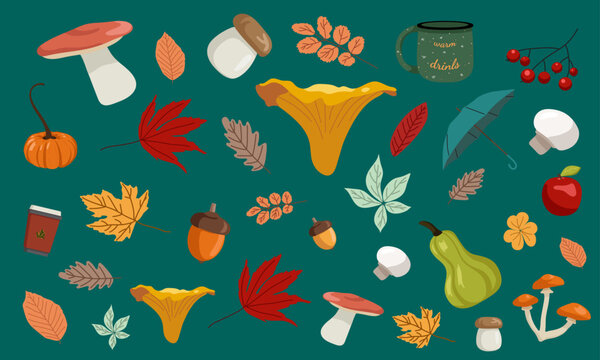 Pattern with chanterelle, leaves, boletus, cups, pumpkins, champingon, rissule, umbrella, acorns, rowan, apple, fungi on blue green background for patterns, pachaging, wallpapers, fabrics, web