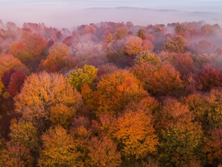 Fototapeta premium autumn landscape with fog