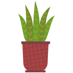 Colorful cactus icon