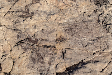 Cracked rock Texture. Stone surface with brown tint