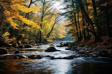 Autumn river landscape.