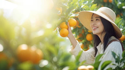 Deurstickers Asian farm women happily picking the harvest of oranges. © Sasint