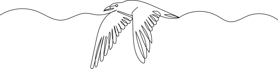 seagull flying continuous line drawing