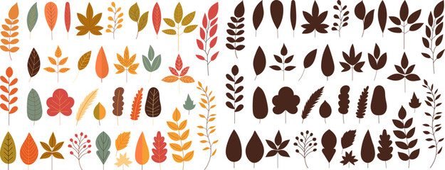 leaves autumn collection on white background, vector