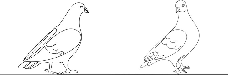 pigeons continuous line drawing on white background, vector