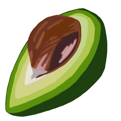 illustration of sliced ​​avocado fruit