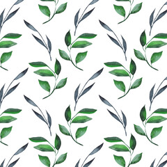 Watercolor floral pattern. Texture with watercolor natural elements on white background.