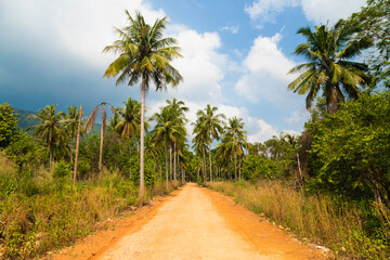 A dirt road winds through a palm-fringed landscape on the island of Koh Chang, in the Gulf of Thailand, Trat province, Southeast Asia.
