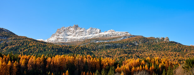 Autumn foliage in the larch woods, at the foot of the snow-capped Croda da Lago mountain range, in the Dolomites, Cortina d&rsquo;Ampezzo, Veneto, Italy, Europe. Range with characteristic peaks.