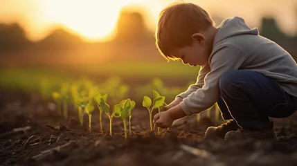 Fotobehang A child squats in a field and plants a corn sprout in the ground. Sunny day, child gardener helps on farming.  © IndigoElf