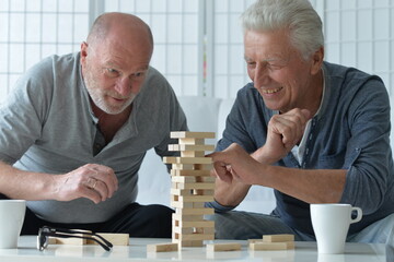 Two old men sitting at table and playing with wooden blocks