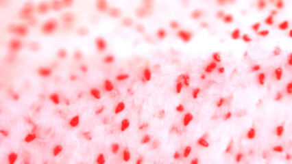 Abstract background. Dragon fruit is a type of fruit grown in Thailand for sale in pink, white, and light red gradients