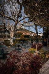 A picturesque cafe on the shores of Lake Bracciano. Italian region Lazio! Bright spring colors. inscription - welcome table
