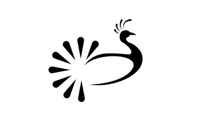 Beautiful peacock. Cartoon bird with ornamental feathers, character of nature with decorative elegant plumage, vector illustration of exotic animal isolated