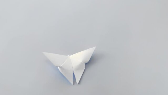 White paper origami butterfly on blue background. World Day of Peace. Day Against Humiliation. International Day Of Human Fraternity. International Day of Living Together in Peace