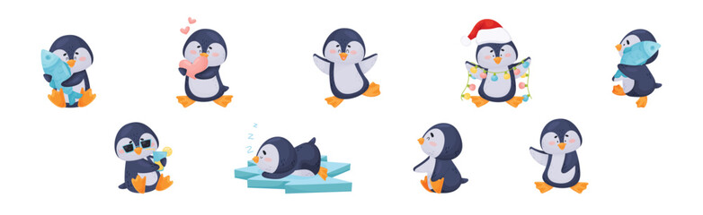 Fototapeta premium Cute Penguin Character with Happy Face Vector Set