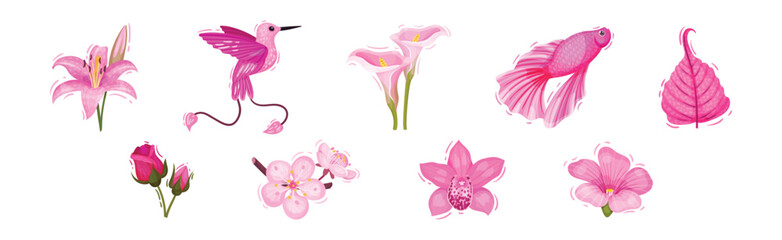 Bright Pink Flower with Bird and Fish Vector Set