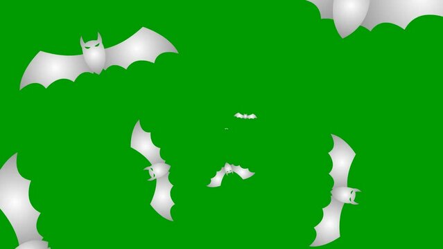 Animated silver bats fly out from the center of the screen. Looped video. Concept of Halloween, Black Friday. Flat vector illustration isolated on a green background.