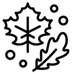 Obraz premium leaf, autumn 