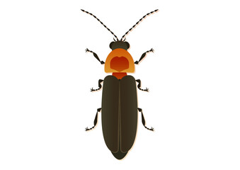 Firefly Vector Art Isolated on White Background