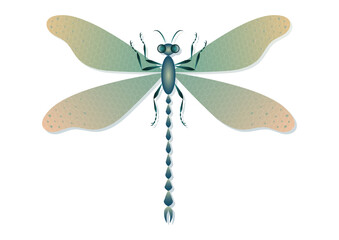 Dragonfly Vector Art isolated on white background