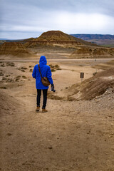 Young person walks among arid areas with desert vegetation.