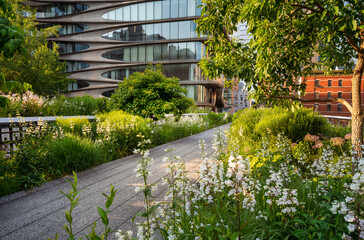 The High Line promenade in summer. Elevated greenway park in the heart of Chelsea, Manhattan. New York City - 649272737
