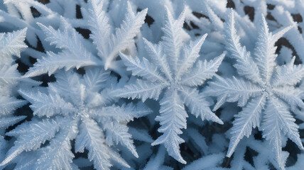 Ethereal Beauty: Capturing Intricate Frost Patterns on a Chilled Winter Morning