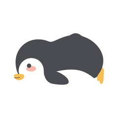 Cute  penguin sleep animal cartoon