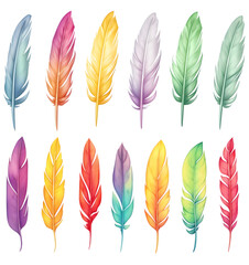 Set of bird feathers on transparent background