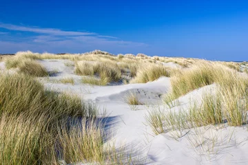 Foto op Plexiglas Noordzee, Nederland the dunes, Renesse, Zeeland, the Netherlands
