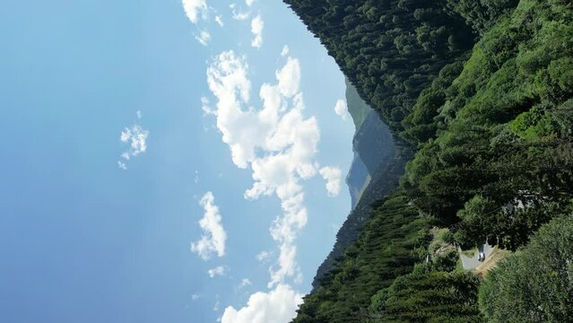 Magnificent green trees in the mountains. View of pine trees and kackar mountains taken in cloudy weather. A mountainous region extending between two mountains. UHD, 4K. Story format. Shot in Turkey