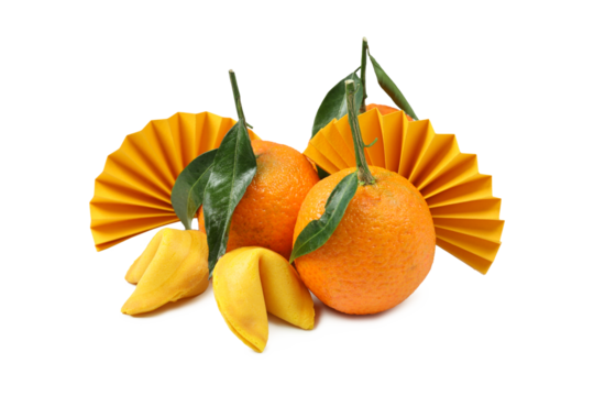 PNG, Concept of Chinese new year, concept of happy new year