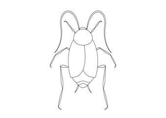 Black and White Oriental Cockroach Clipart Vector isolated on White Background. Coloring Page of a Oriental Cockroach - obrazy, fototapety, plakaty