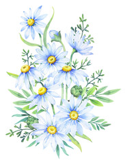 Bouquet of daisies, watercolor illustration. Chamomile floral arrangement of garden daisy flowers, petals, leaves and buds