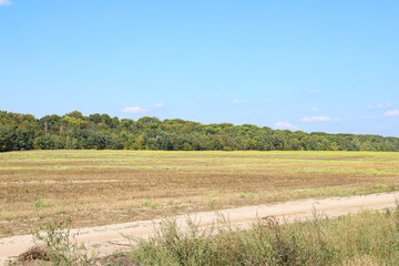 peaceful landscape, field, road and trees in the distance, blue sky