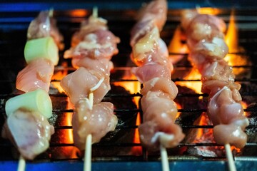 簡易バーベキューで焼き鳥