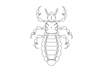 Black and White Louse Clipart Vector isolated on White Background. Coloring Page of a Louse