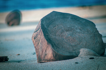 wood on the beach