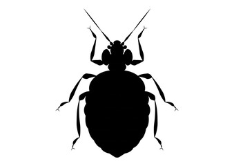 Black and White Bed Bug Clipart